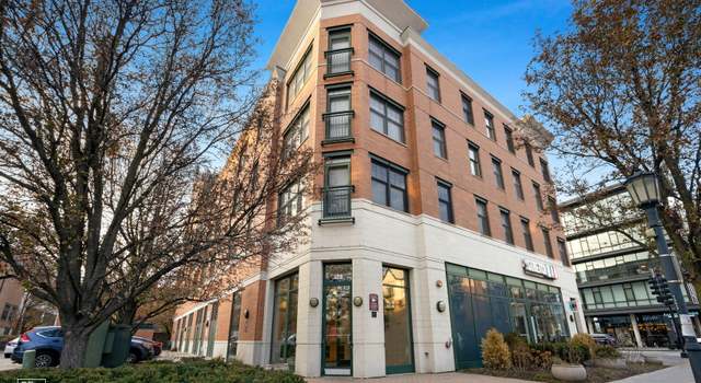 Photo of 125 N Euclid Ave #201, Oak Park, IL 60301