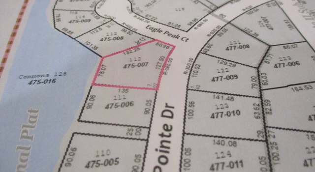 Photo of Lot 112 N Pointe Dr, Gifford, IL 61847