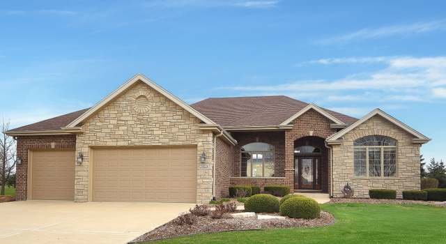 Photo of 23221 Jackson Branch Ct, Frankfort, IL 60423
