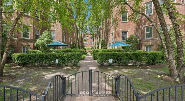 Photo of 225 N Oak Park Ave Unit 1E, Oak Park, IL 60302