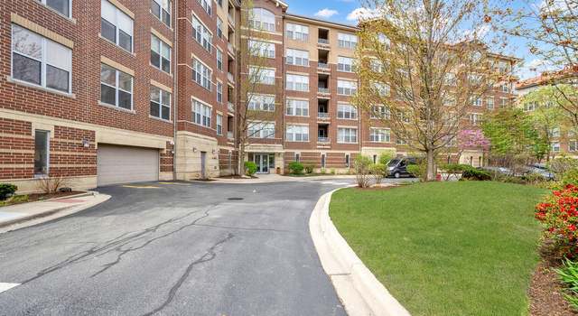 Photo of 9350 N Skokie Blvd #303, Skokie, IL 60077