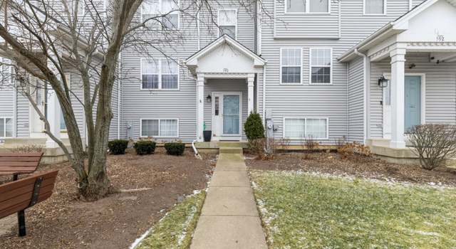 Photo of 590 N Triumph Ct, Hainesville, IL 60073