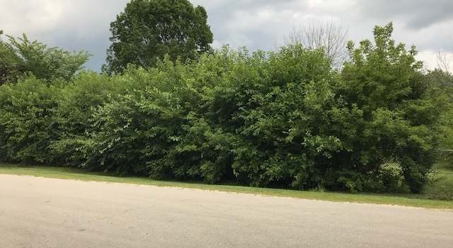 Photo of 21 & 22 Cleveland St, Winfield, IL 60190