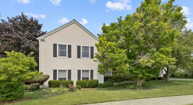 Photo of 540 Springhill Dr, Roselle, IL 60172
