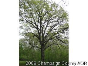 564 Cr 2400 N Dewey Il 61840 Mls 09628600 Redfin