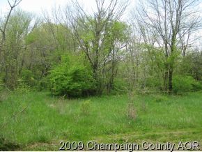564 Cr 2400 N Dewey Il 61840 Mls 09628600 Redfin