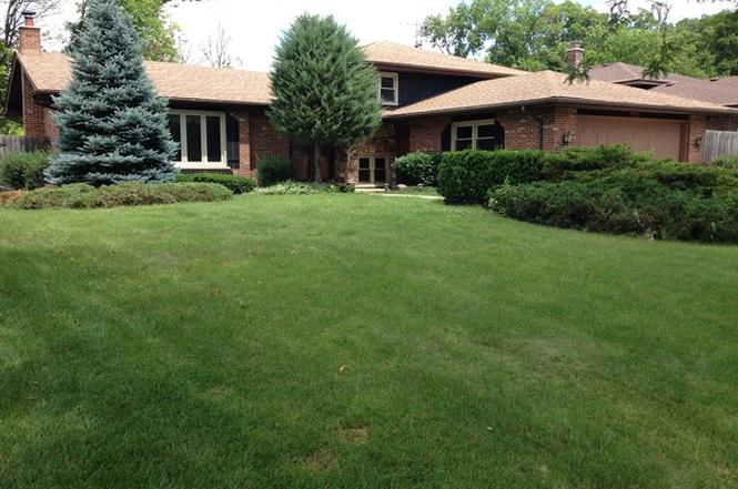 Swingers in wood dale illinois