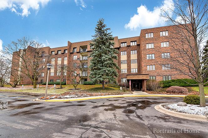 homes for rent in glen ellyn il 60137