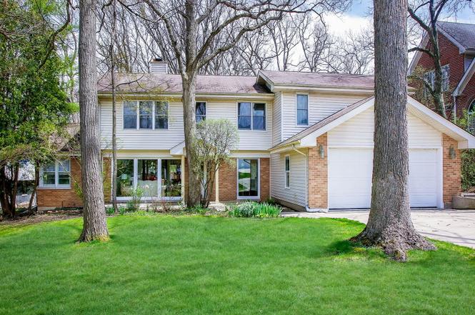 image plus downers grove il image plus downers grove il