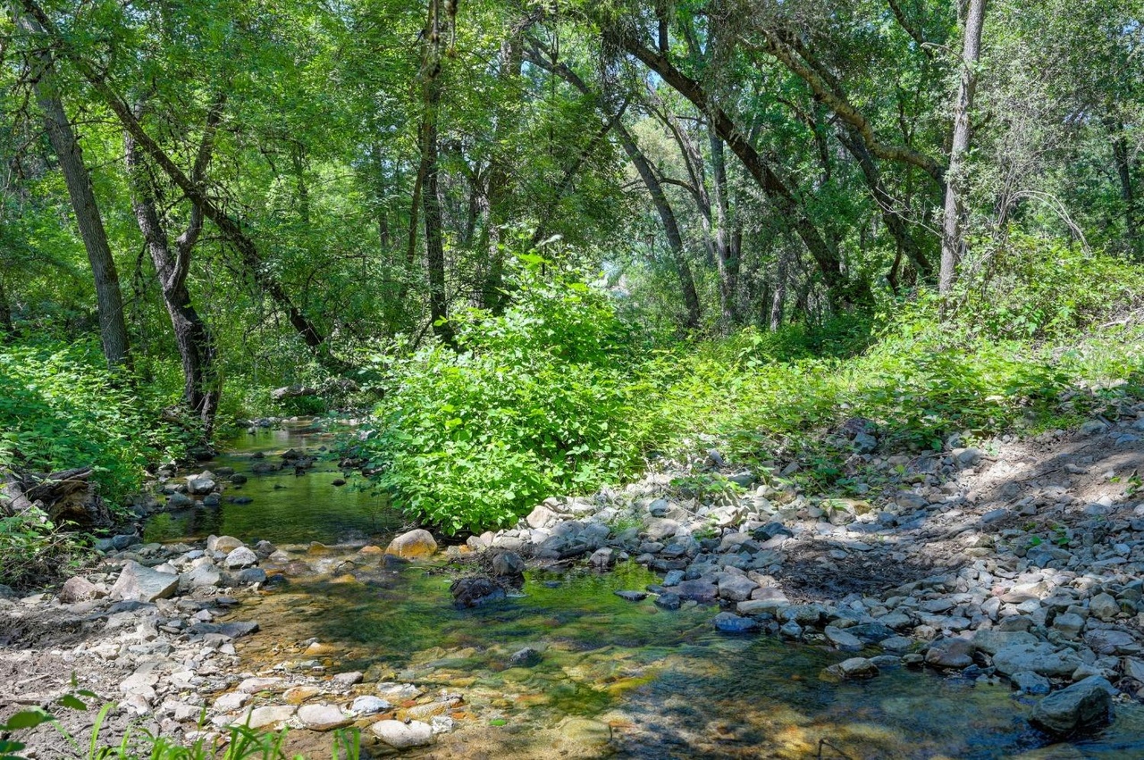 1076 Lotus Rd, Lotus, CA 95651 | Redfin