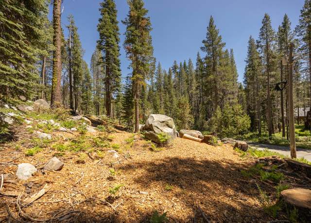 Property at 21864 Lotta Crabtree Ter, Soda Springs, CA 95728