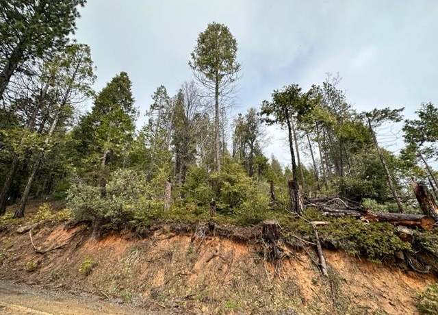 Property at 19950 Mountain Misery Rd, Twain Harte, CA 95383