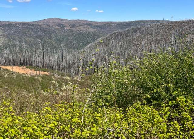 Property at 40 Wentworth Spgs, Georgetown, CA 95634