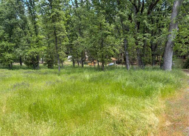 Property at 27289 Forrest Oak Rd, Pioneer, CA 95666