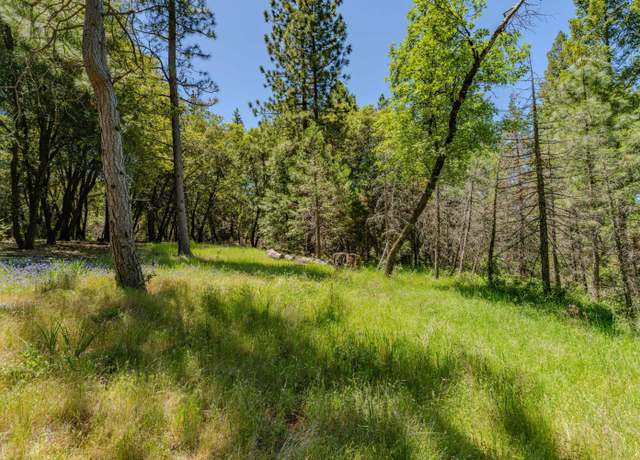 Property at 0 Allan Rd, Volcano, CA 95689
