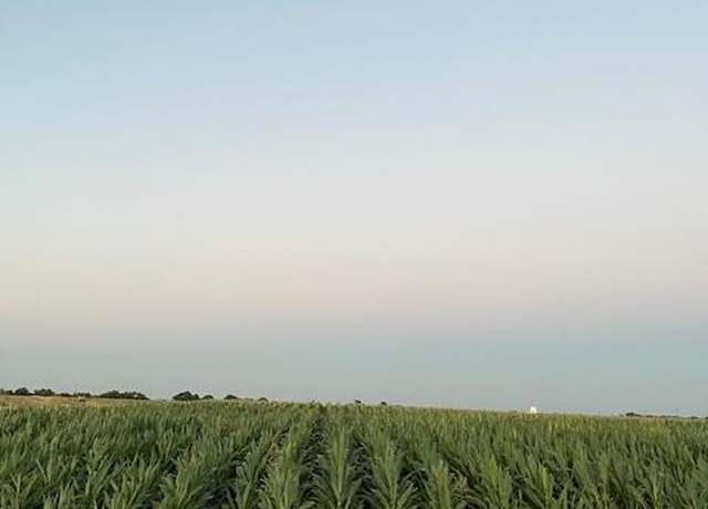 Property at 19366 S Lammers Rd, Tracy, CA 95304