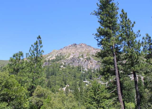 Property at 558 Brady Dr, Sierra City, CA 96125