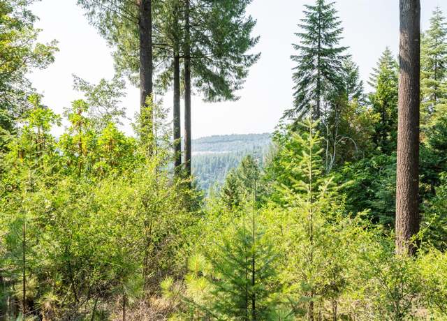 Property at 13518 Quaker Hill Cross Rd, Nevada City, CA 95959