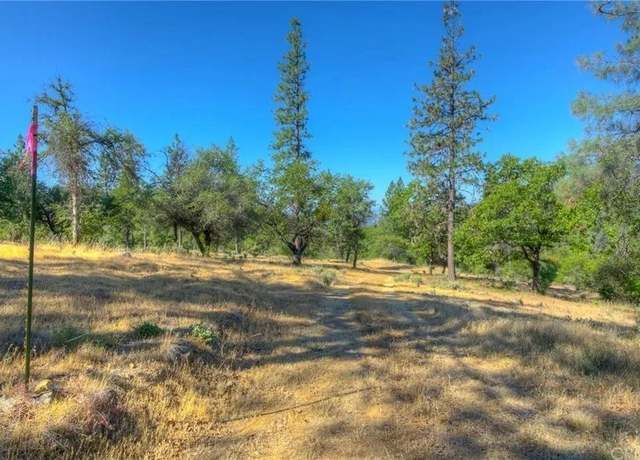 Property at 0 Double Eagle Way, Brownsville, CA 95919