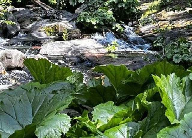 Property at 1 Usfs 8bn54 Rd, Somerset, CA 95684