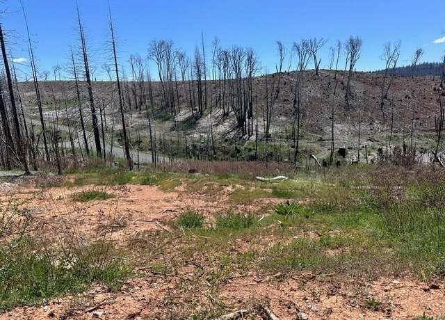 Property at 4963 Deertrack Ct, Grizzly Flats, CA 95636