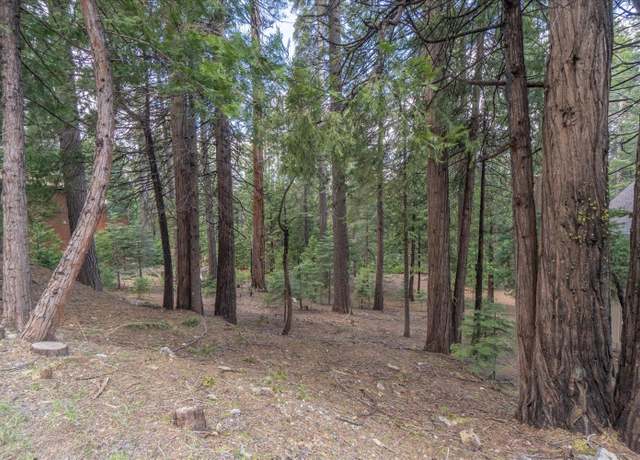 Property at 3099 Apache, Arnold, CA 95223