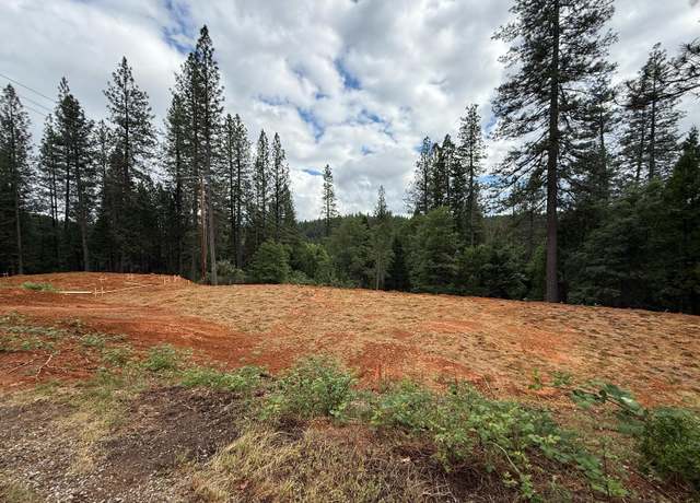 Property at 12477 New Brunswick Ct, Grass Valley, CA 95945