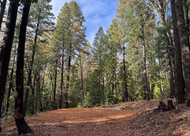 Property at 13646 Quaker Hill Cross Rd, Nevada City, CA 95959