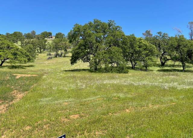 Property at 0 Castillo Way, La Grange, CA 95329