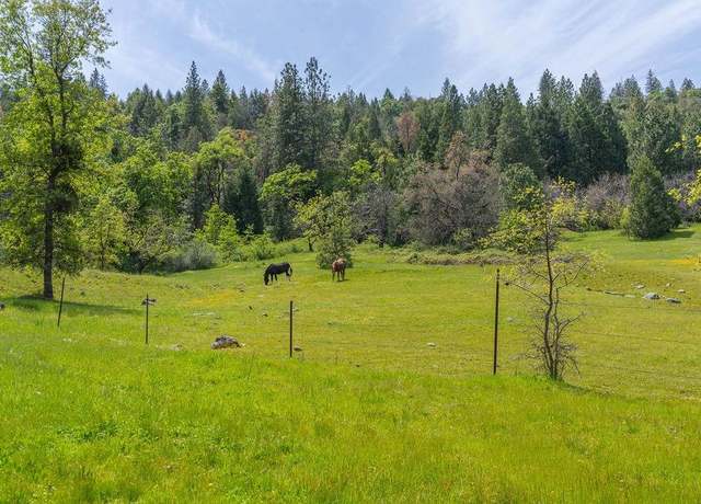 Property at 0 Schaefer Ranch Rd, Pioneer, CA 95666