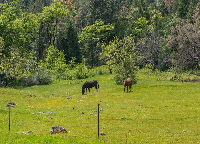 Property at 0 Schaefer Ranch Rd, Pioneer, CA 95666