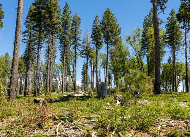 Property at 40 - Acres Wentworth Springs Rd, Georgetown, CA 95634
