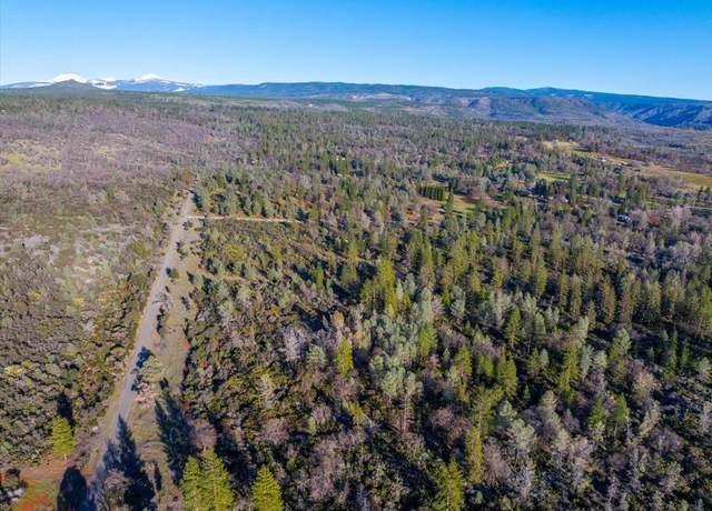 Property at 0 Sunnyview Dr, Manton, CA 96059