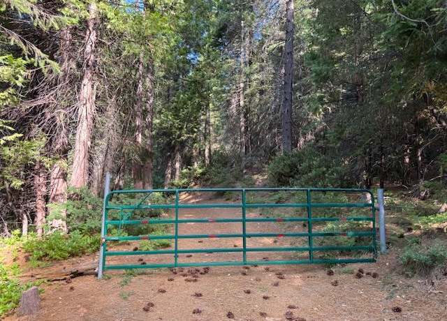 Property at 13264 Diamond Creek Rd, Nevada City, CA 95959