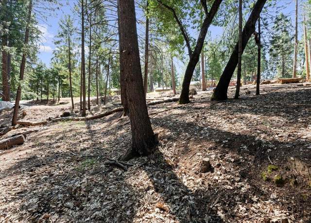 Property at 5521 Begonia Dr, Pollock Pines, CA 95726