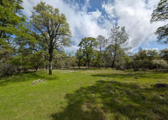 Property at 14677 Begonia Way, Oregon House, CA 95962