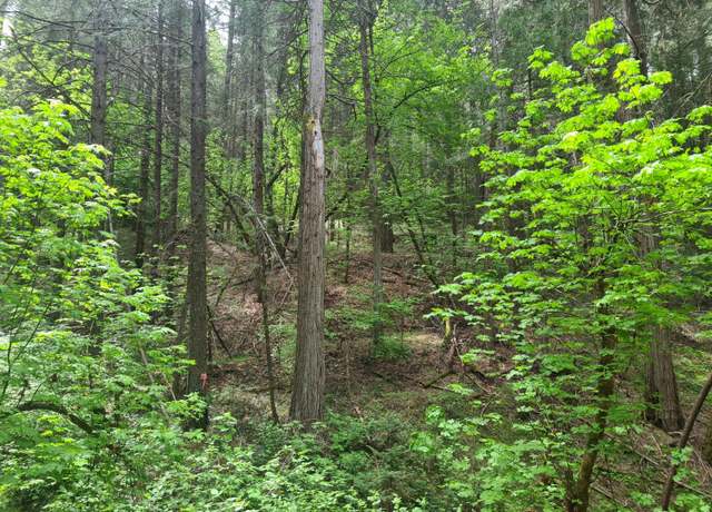 Property at 2747 Leisure Ln, Mokelumne Hill, CA 95248