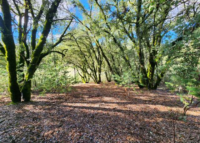 Property at 20335 Montana Ln, Colfax, CA 95713