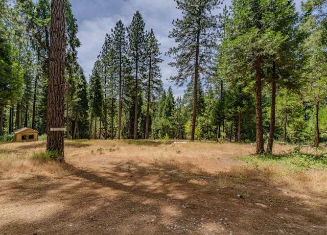 Property at 17770 Gold Creek Trl, Volcano, CA 95689