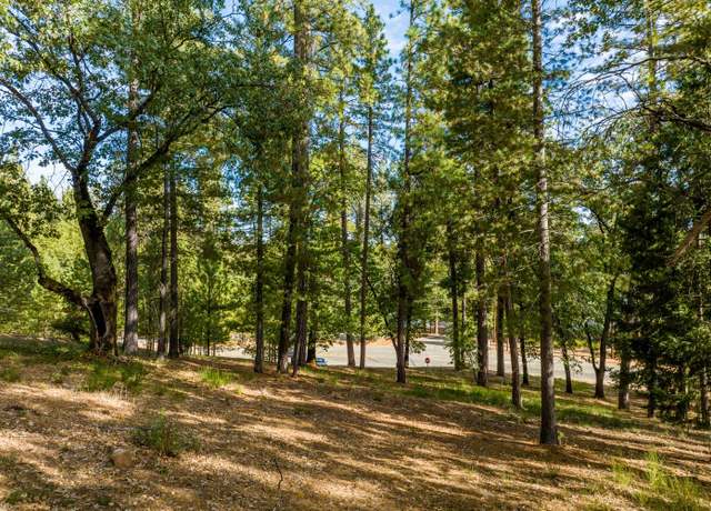 Property at 15215 Woodmont Ln, Meadow Vista, CA 95722