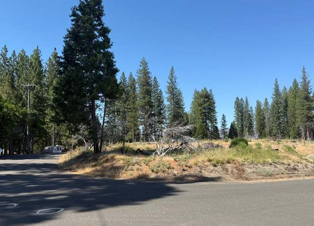 Property at 9981 Grizzly Flat Rd, Grizzly Flats, CA 95636