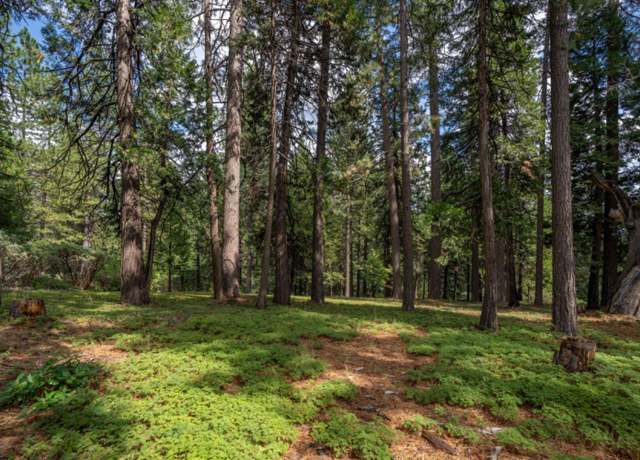 Property at 27460 State Highway 88, Pioneer, CA 95666