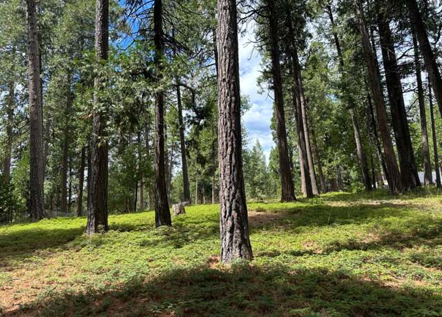 Property at 27460 State Highway 88, Pioneer, CA 95666