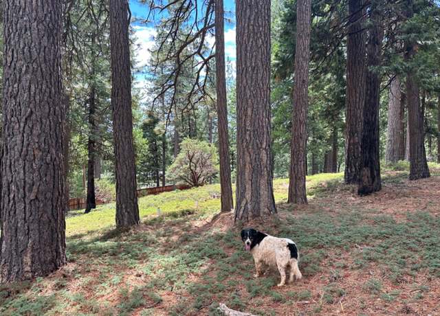 Property at 27460 State Highway 88, Pioneer, CA 95666