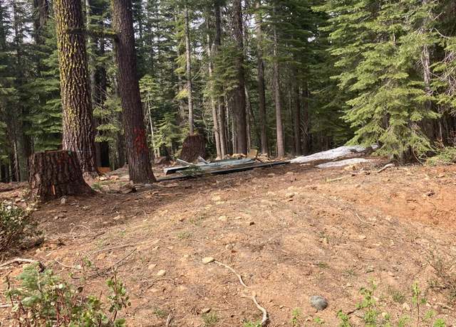 Property at 8896 Big Creek Rd, Bucks Lake, CA 95971