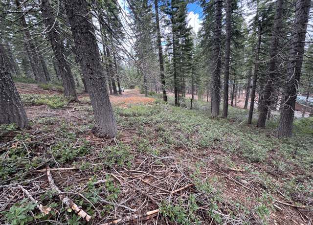 Property at 3080 Hillcrest Ct, Strawberry Valley, CA 95981