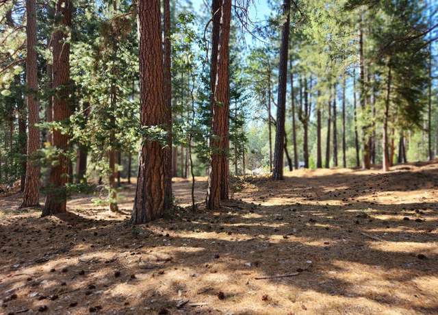 Property at 165 Secret Town Ln, Colfax, CA 95713