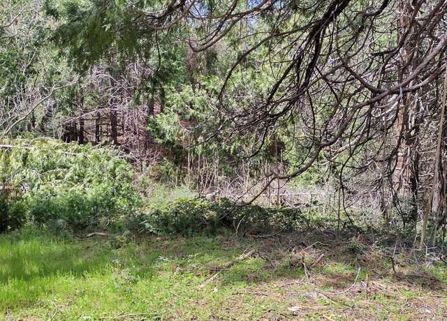Property at 6141 State Highway 193, Georgetown, CA 95634