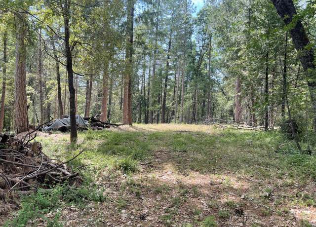 Property at 20280 Spring Garden Rd, Foresthill, CA 95631