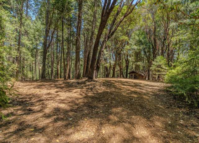 Property at 18748 Lancelot Ln, Pioneer, CA 95666